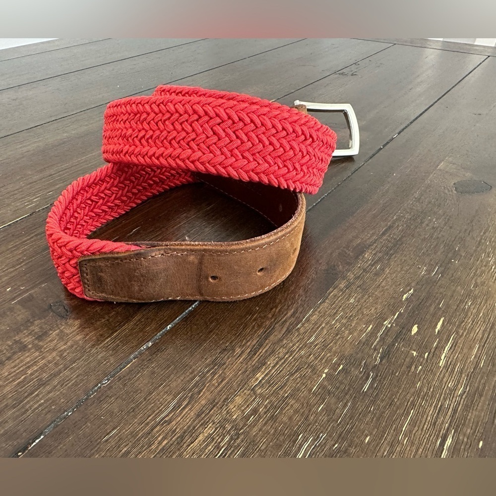 Turtleson belt - Picture 2 of 11